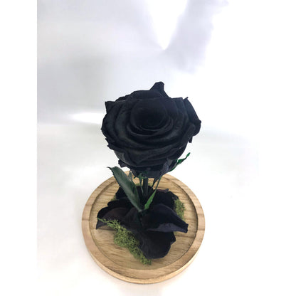 Mundo Eterno Rosa En Cúpula Negra 12x20cm_4