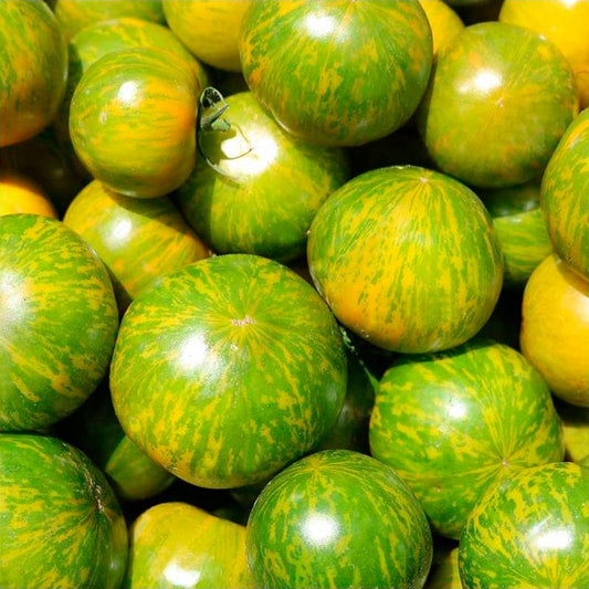 Semillas Tomate Green Zebra Ecológicas_0