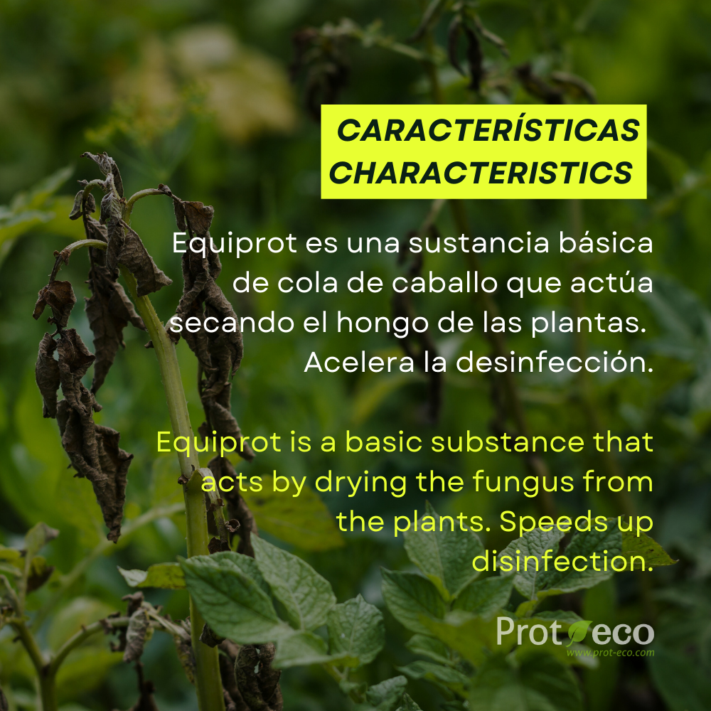 Fortificante ecológico de cola de caballo para plantas Equiprot Prot-Eco (100 ml)+pipeta dosificadora 5ml gratis_3