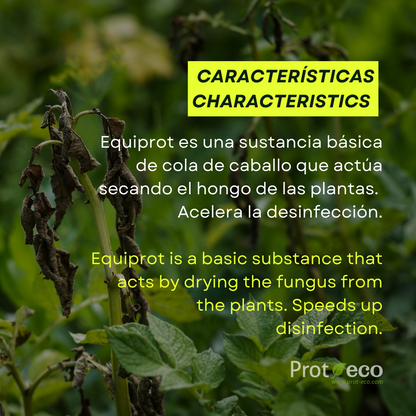 Fortificante ecológico de cola de caballo para plantas Equiprot Prot-eco 100 ml + pipeta dosificadora 5 ml gratis_3