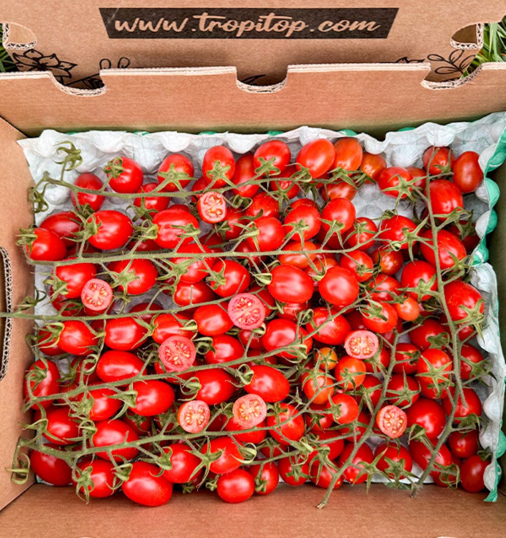 Caja De Tomates Cherry En Rama Tropitop Caja De 4kg_1