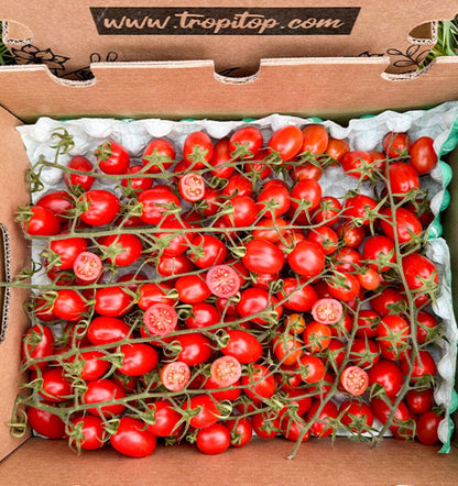 Caja De Tomates Cherry En Rama Tropitop Caja De 4kg_1