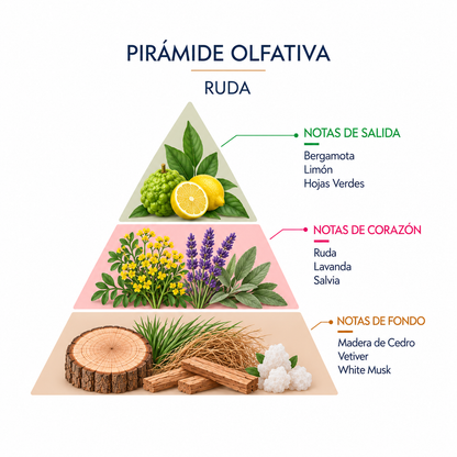 Incienso Natural Ruda SYS Aromas | 15 Conos | Aroma Agreste y Herbal | Carbón Vegetal, Resinas y Bambú_1