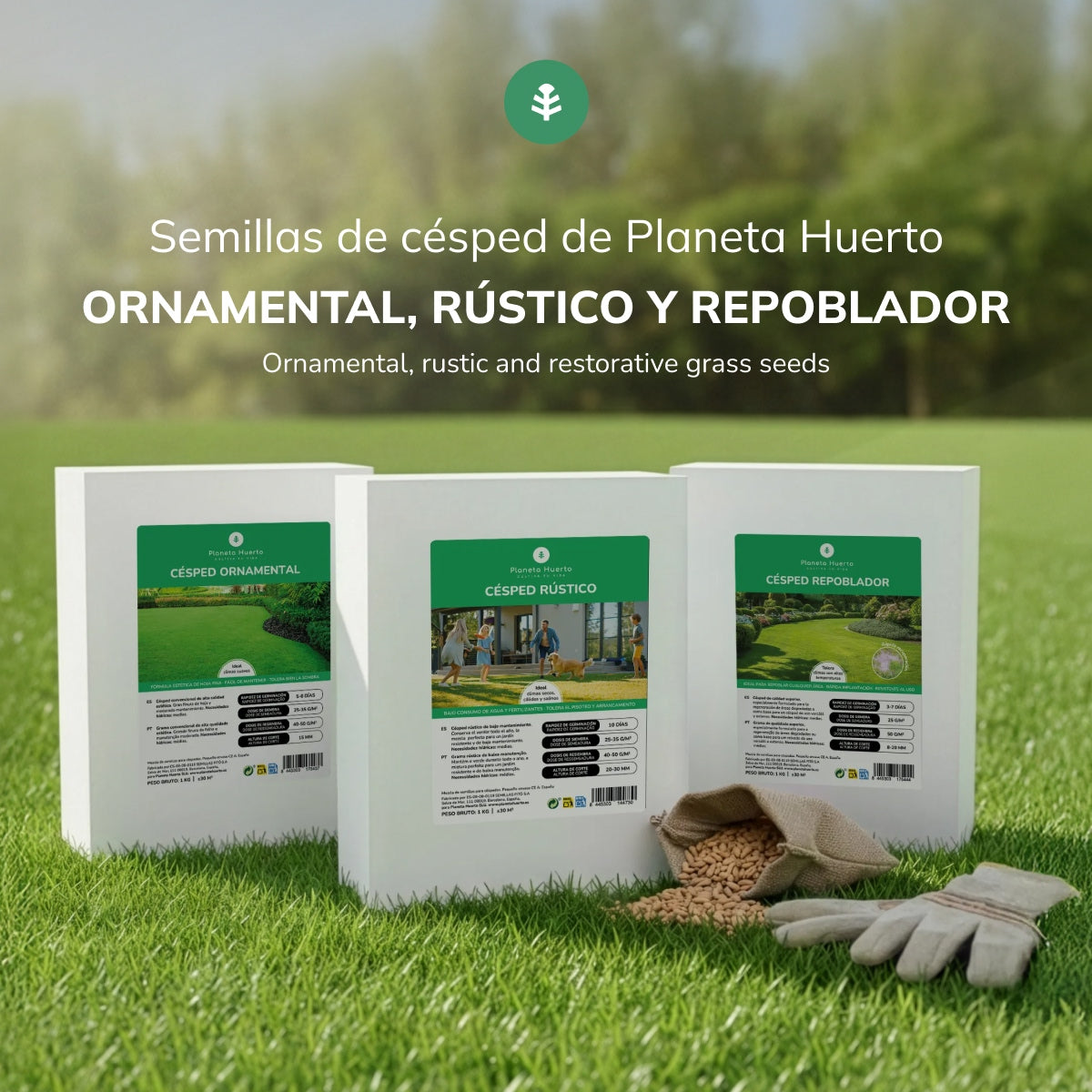 Semillas Césped Rústico Planeta Huerto 1 kg