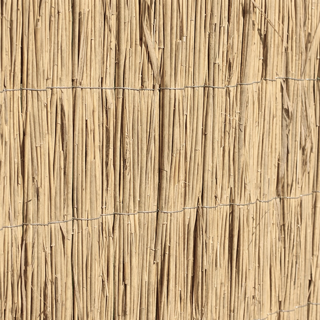 Bambú Pelado Multi Varilla Reed Multi 1x5 M Nortene_2