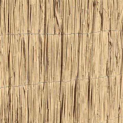 Bambú Pelado Multi Varilla Reed Multi 1x5 M Nortene_2
