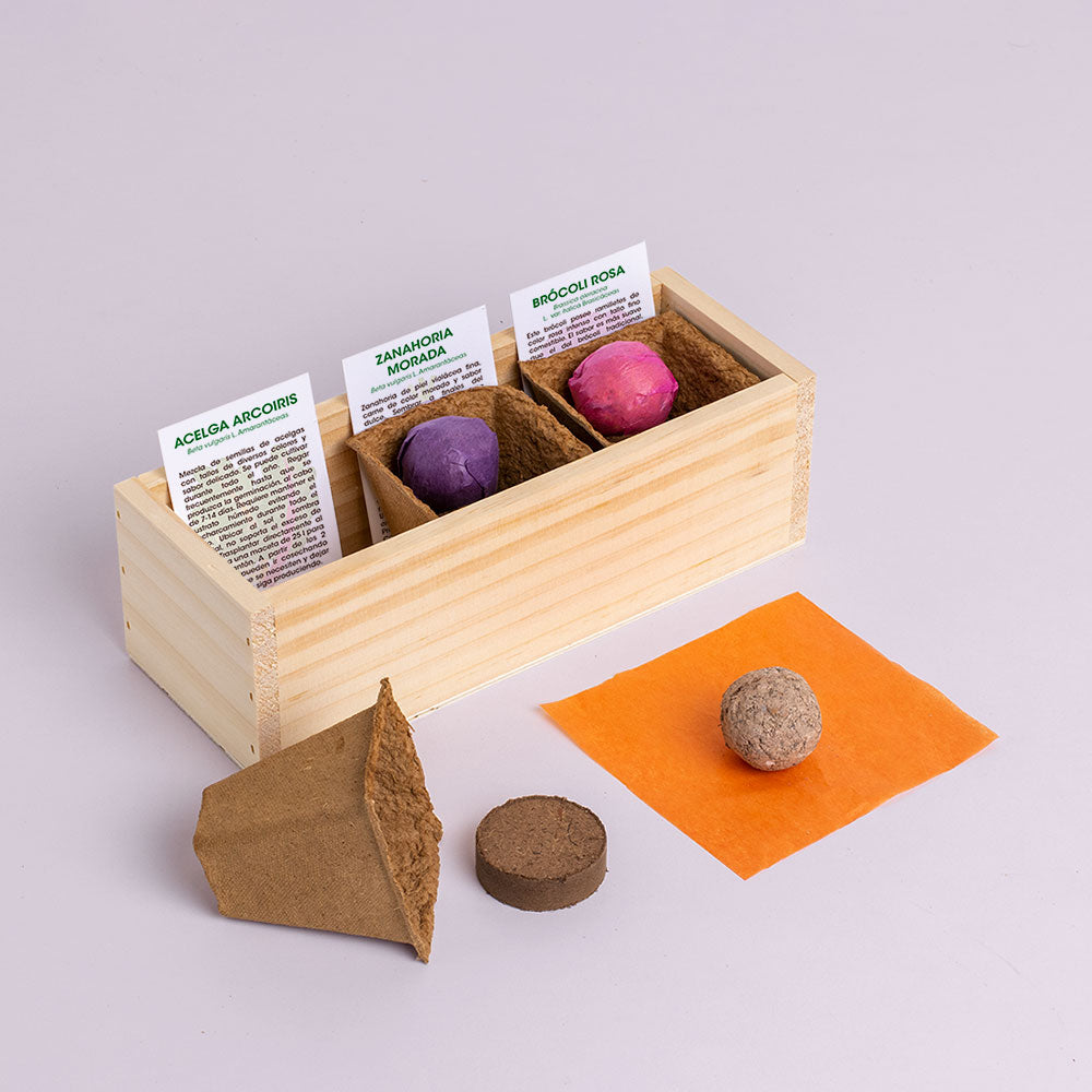 Mini Huerto Hortalizas Extrañas Acelga Arcoíris, Zanahoria Morada y Brócoli Rosa - Resetea_1