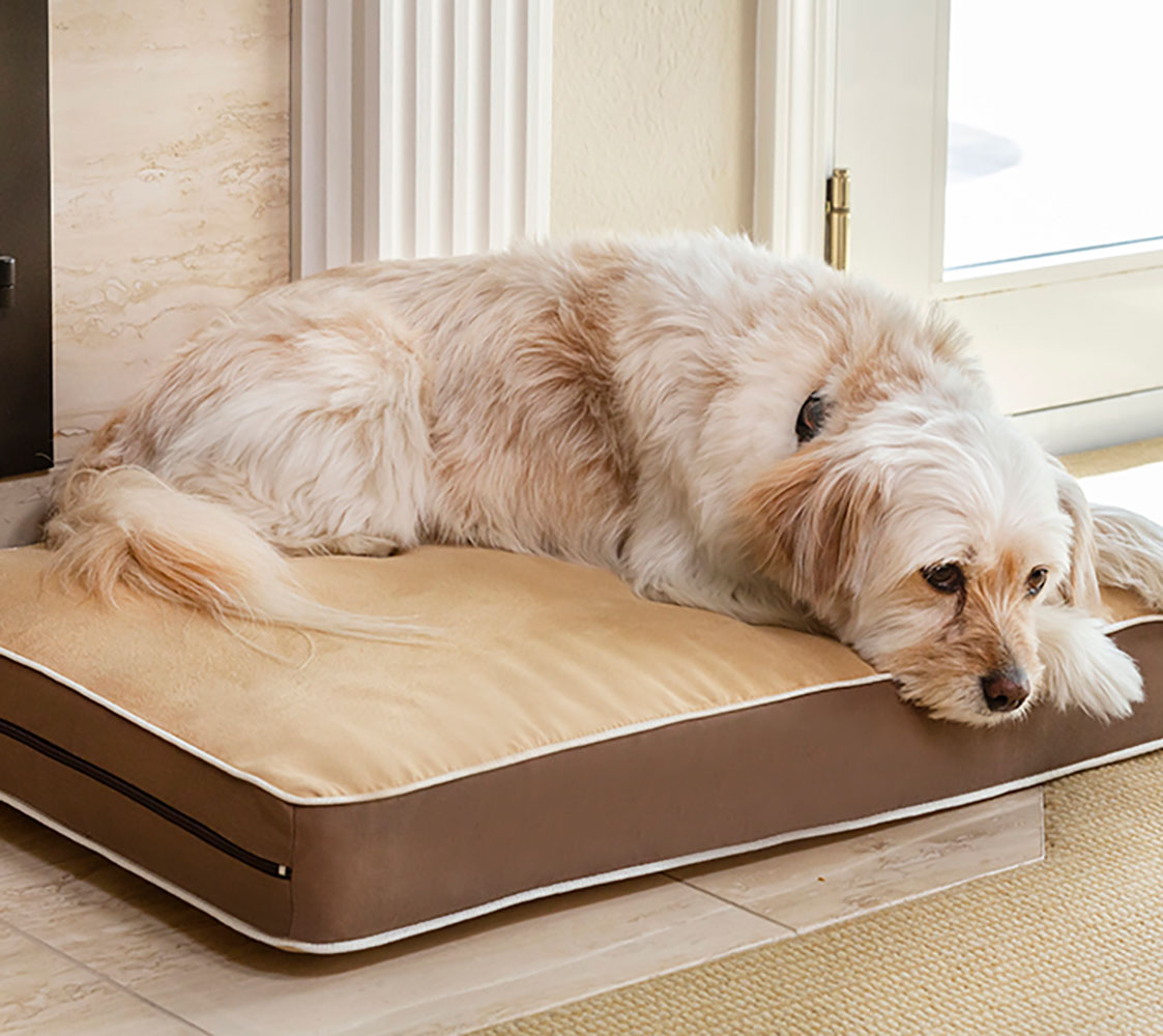 Cama Para Perros Y Gatos- Fácil De Lavar - 3 Tamaños Diferentes En Función Del Tamaño Del Perro_1