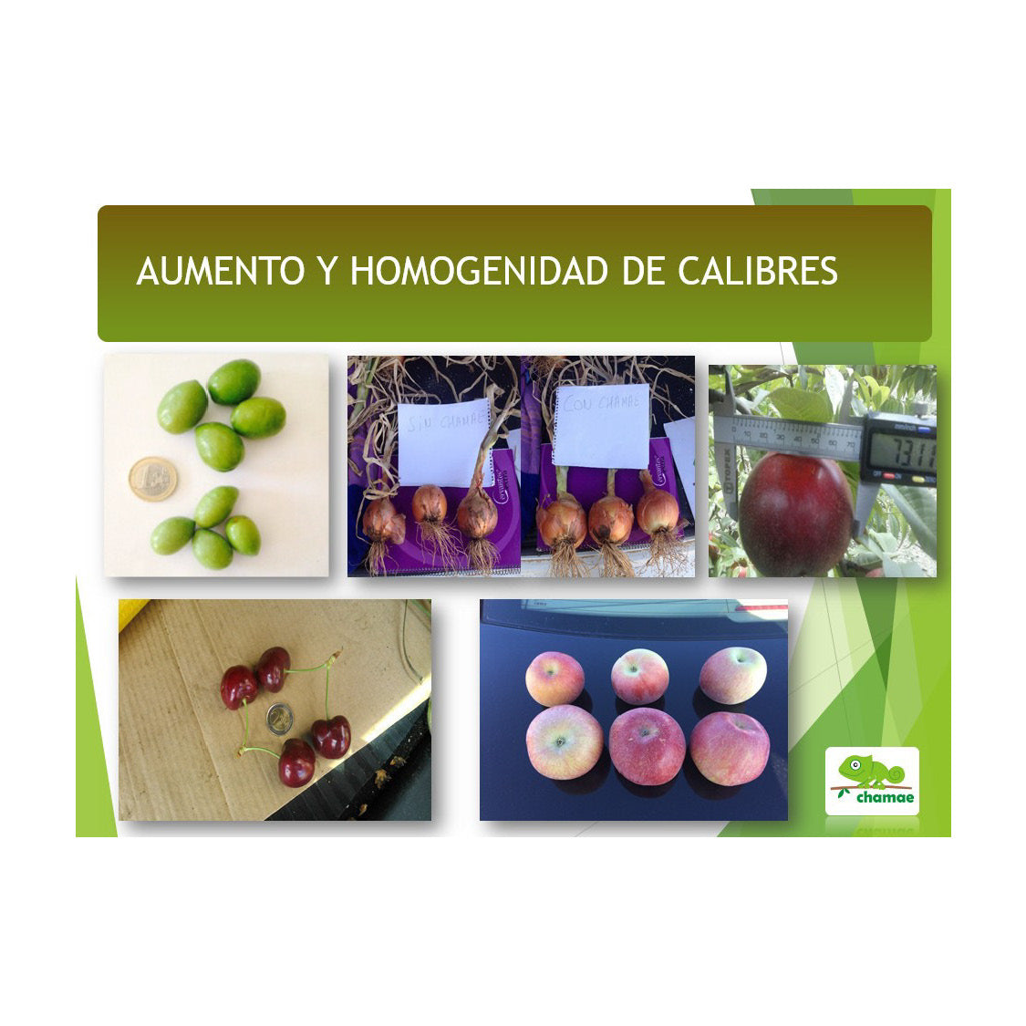 Fertilizante Potasio Vpotash 5 Chamae 5 Litros Ecológico. Jardinería. Potasio Verde. Aplicación Al Suelo Y Foliar._4