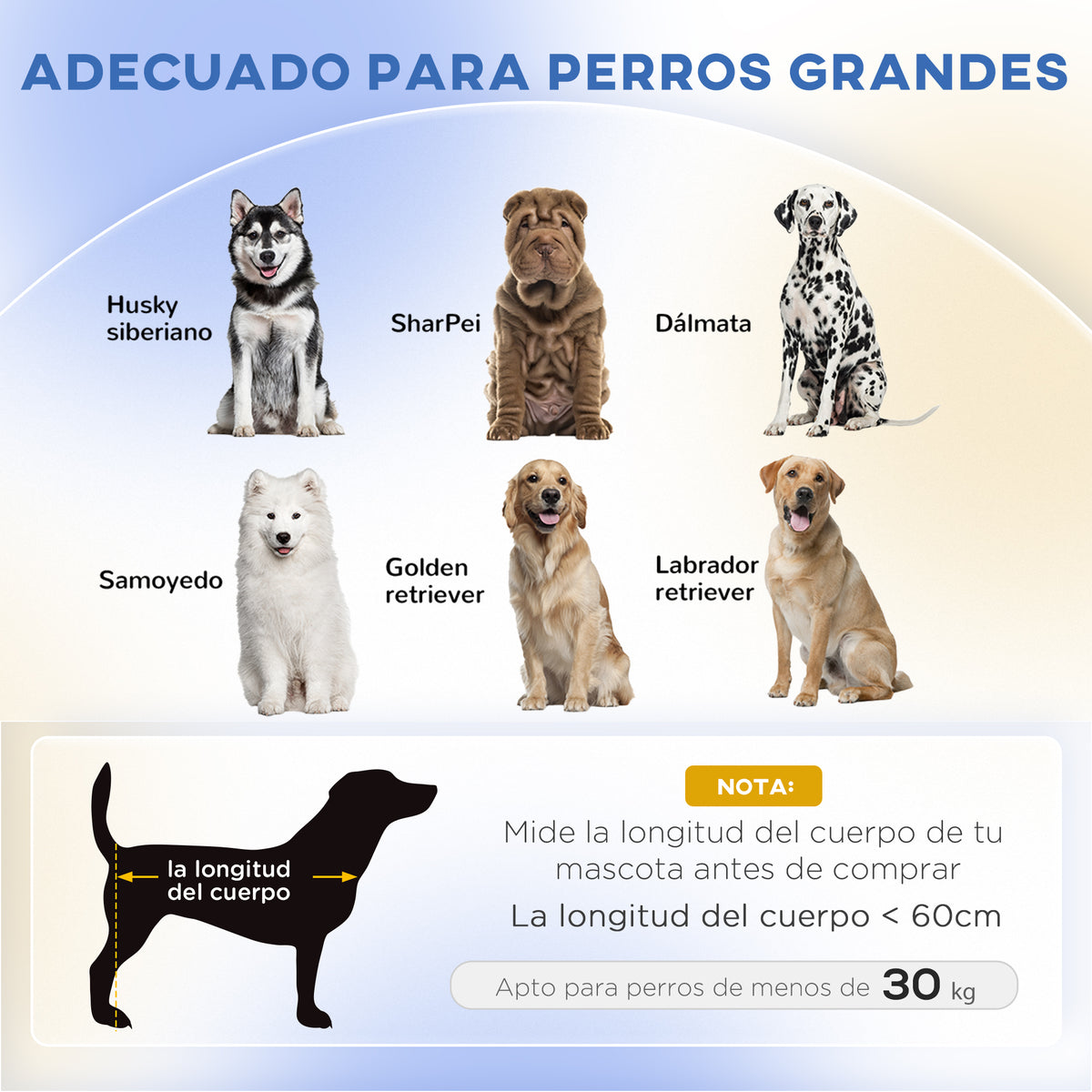 Pawhut Sofá Para Perros Grandes Con Cojín Lavable 98x67x25 Cm Verde_3