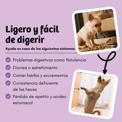 BugBell BellyVital Pienso – hipoalergénico, sin cereales, con proteína de insecto, psyllium y arándanos_3