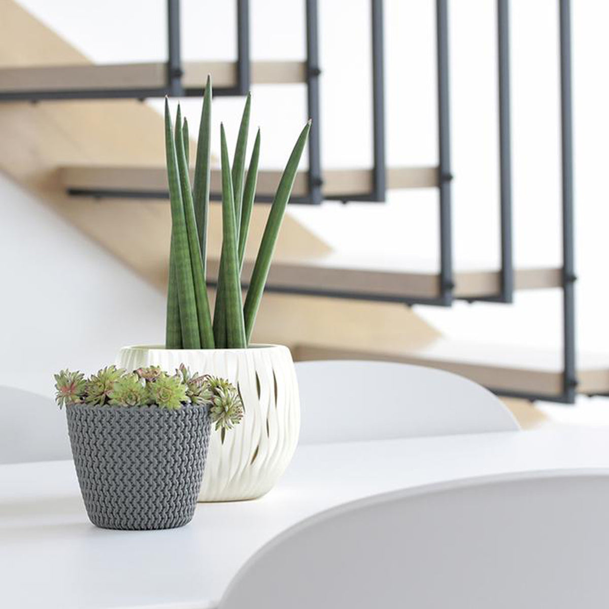 Maceta Redonda 11,5l Prosperplast Splofy De Plastico En Color Blanco, Ø29,5 X 24,9 Cm_3