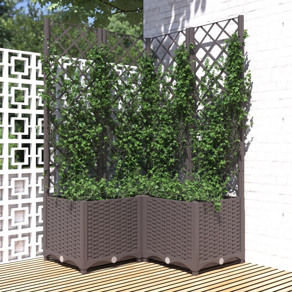 Jardinera Con Enrejado Pp Marrón 80x80x136 Cm_1