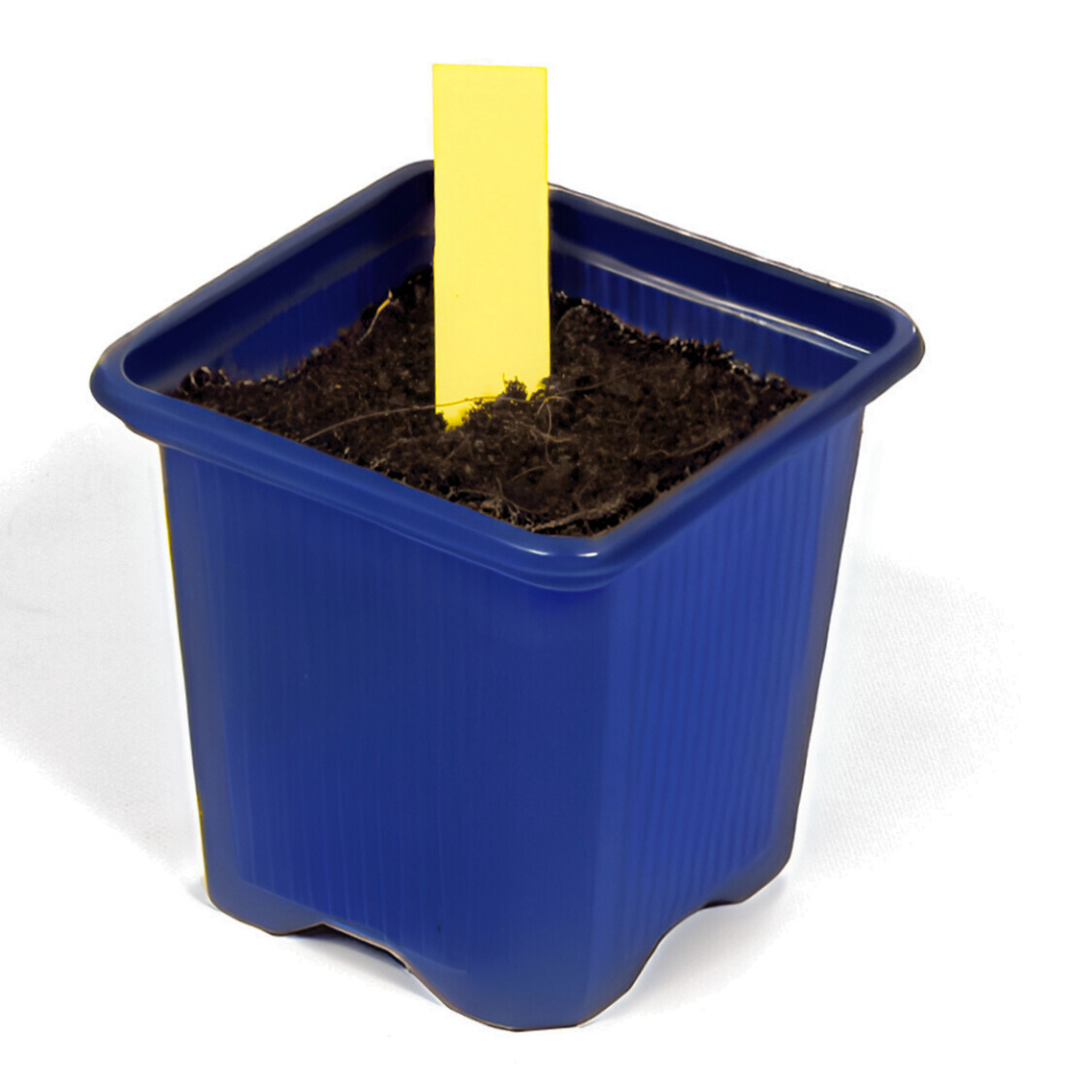 Etiqueta Para Planta Amarilla 1,3 X 6 Cm 500 Unidades_1