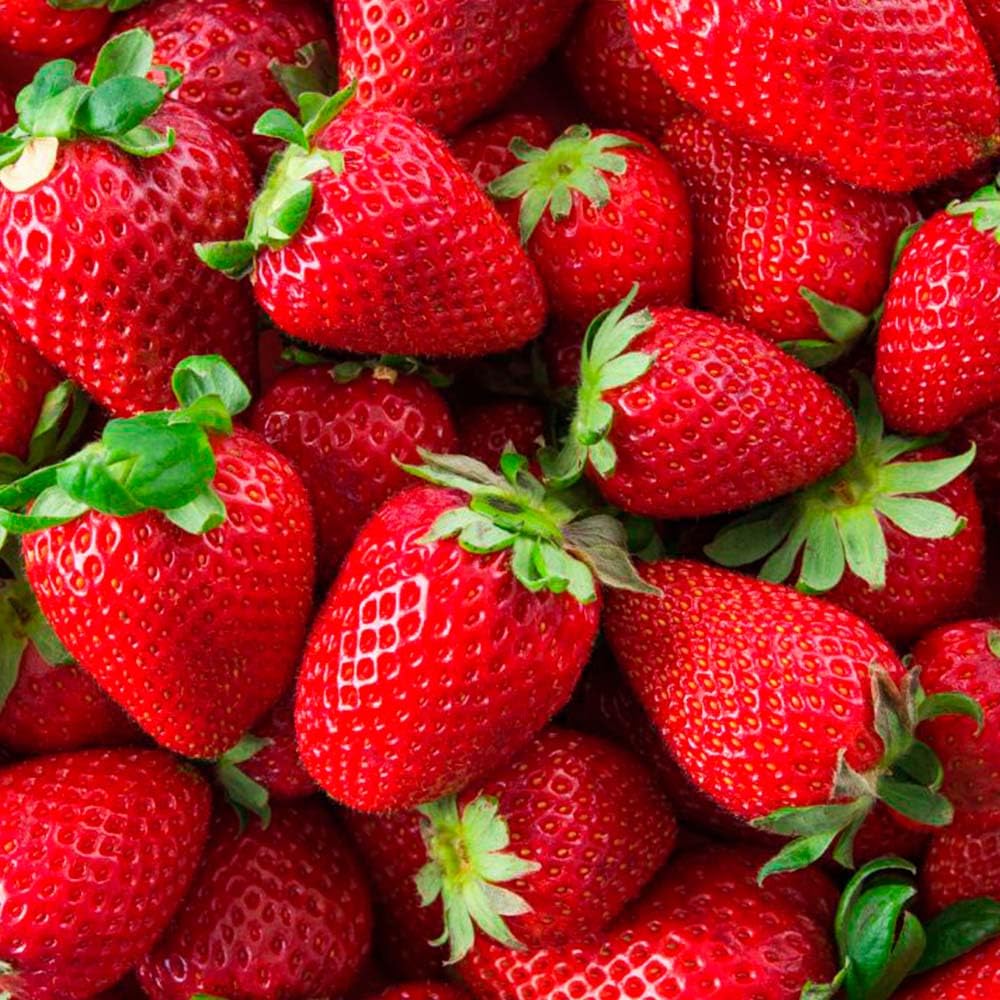 Pack Ahorro 2x Fragancias Lámpara Catalítica 200ml: 1 Aroma Wild Strawberry + Limpiador Neutro_2