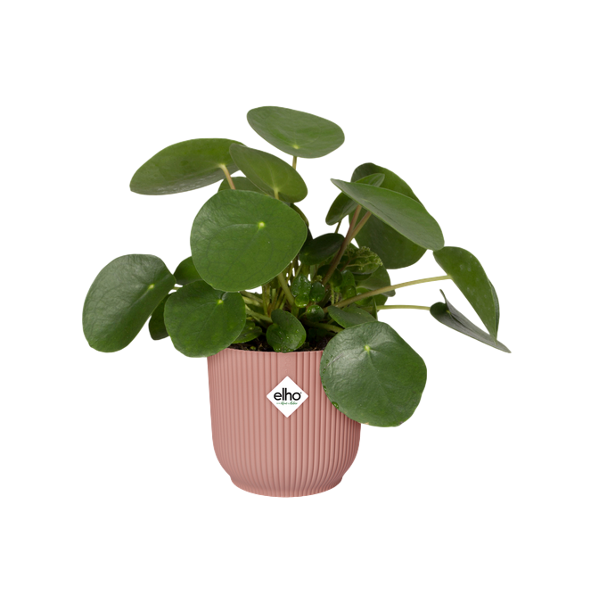 Macetero vibes fold round delicate pink Elho 18 cm