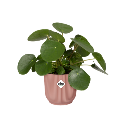 Macetero vibes fold round delicate pink Elho 18 cm