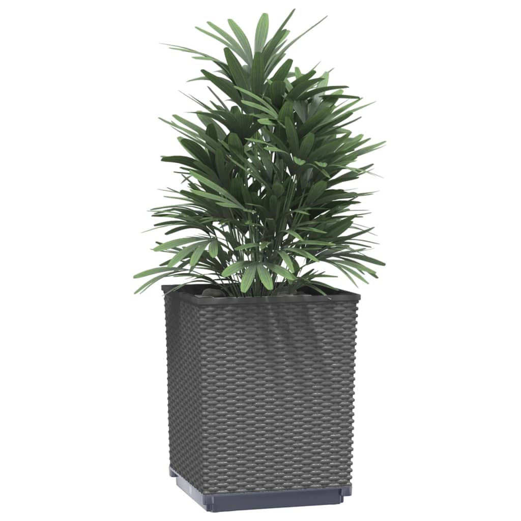 Jardineras 2 Uds Polipropileno Negro 30x30x37 Cm_2