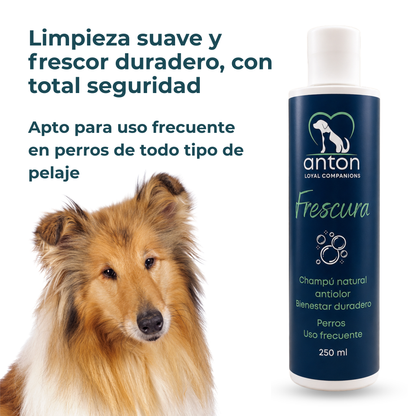 Champú natural para el control de olores en perros – Pack 2 x 250 ml_1
