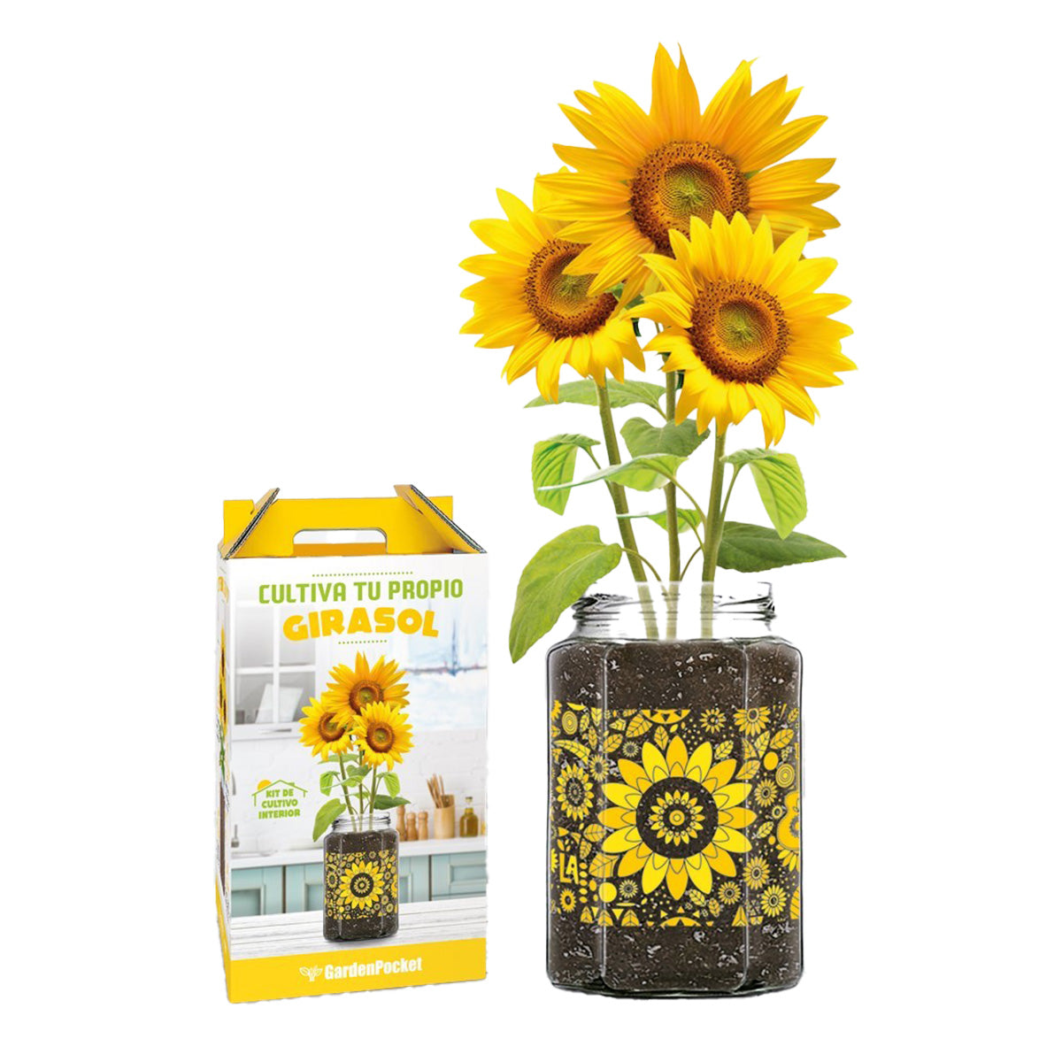 Kit de Cultivo Planta tu Propio Girasol, Garden Pocket