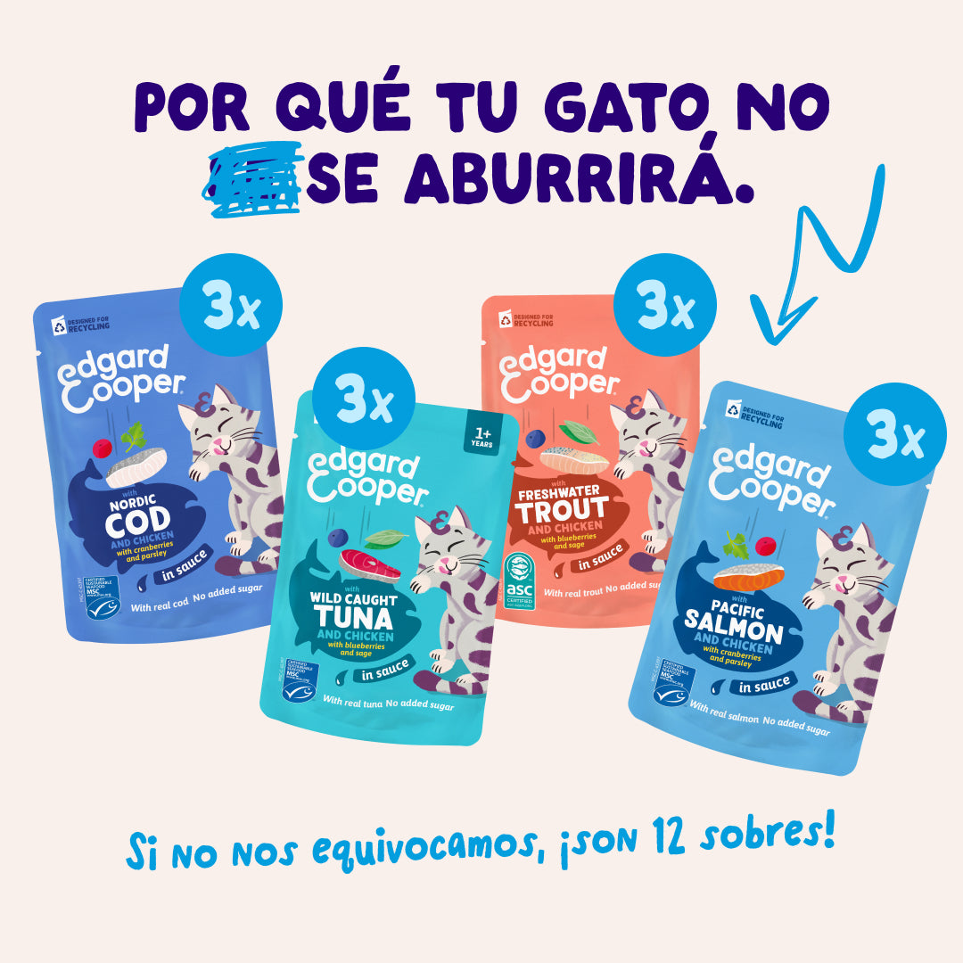 Sobres de comida húmeda para gatos Captura del Día Selección de Pescado en Salsa | Edgard & Cooper 85 g