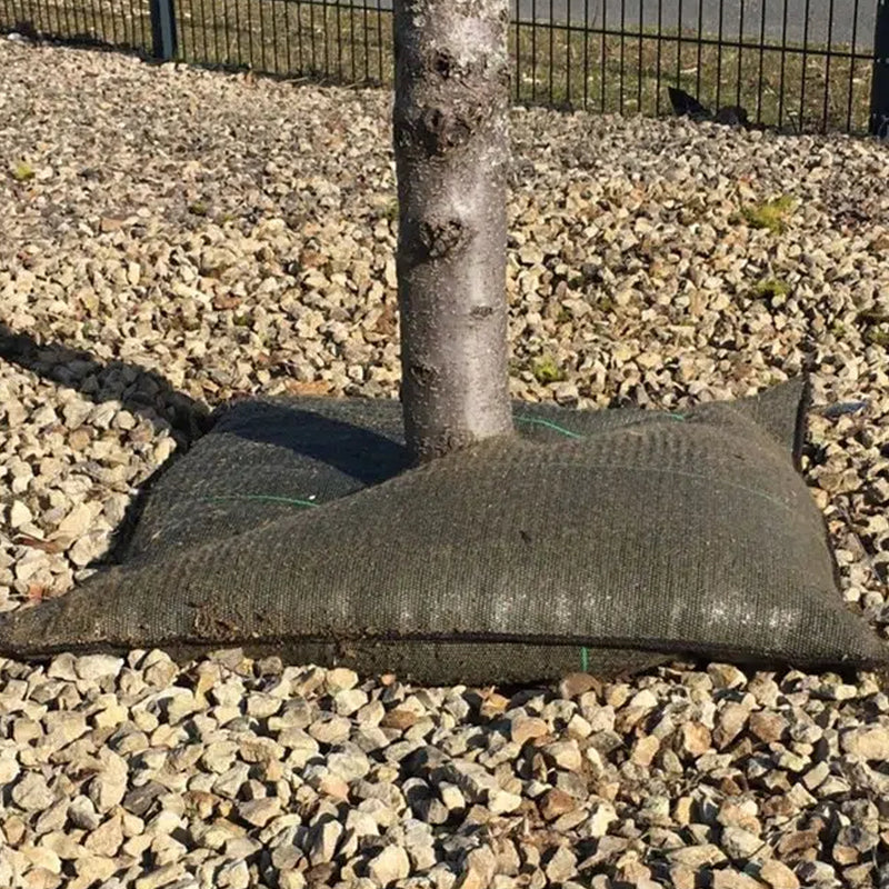 Cojín De Riego Para Plantas Tree’bed 300_2