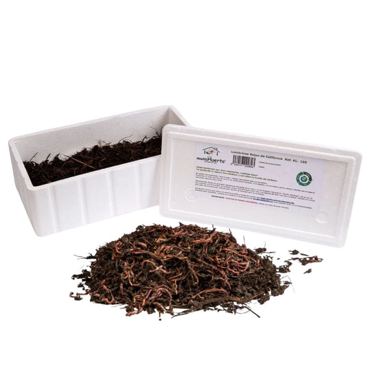 Lombrices rojas californianas para vermicompost Multihuerto 150 ud