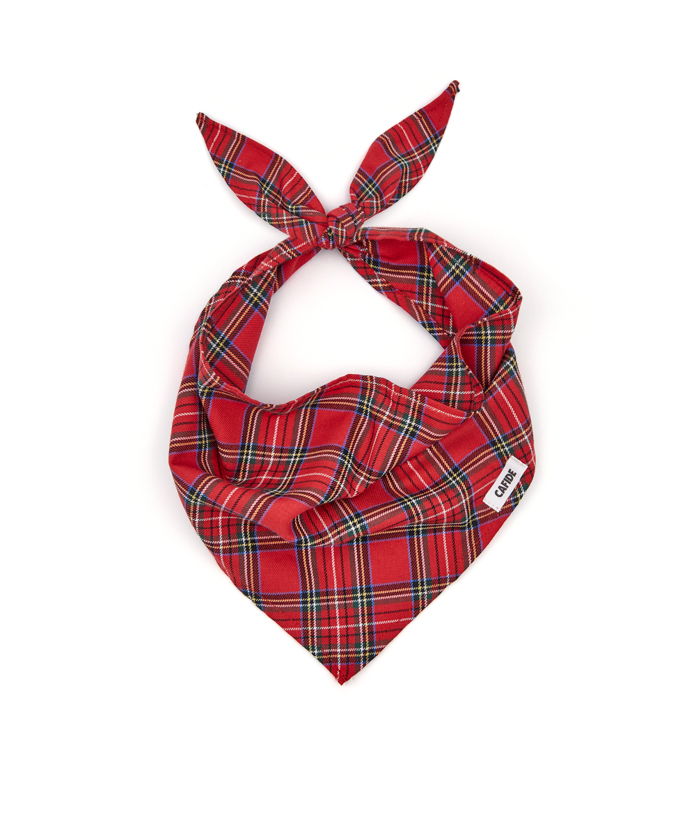 Cafide Bandana Para Perro Tartán Royal Steward. Modelo Nata. Talla Xl (42-58 Cm)_0