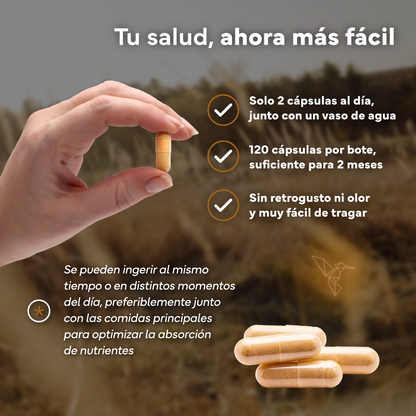 Pack 2x Ashwagandha Ksm-66 Complex Con Pimienta Negra Sevens Nutrition. Bienestar, Energía Y Concentración_4