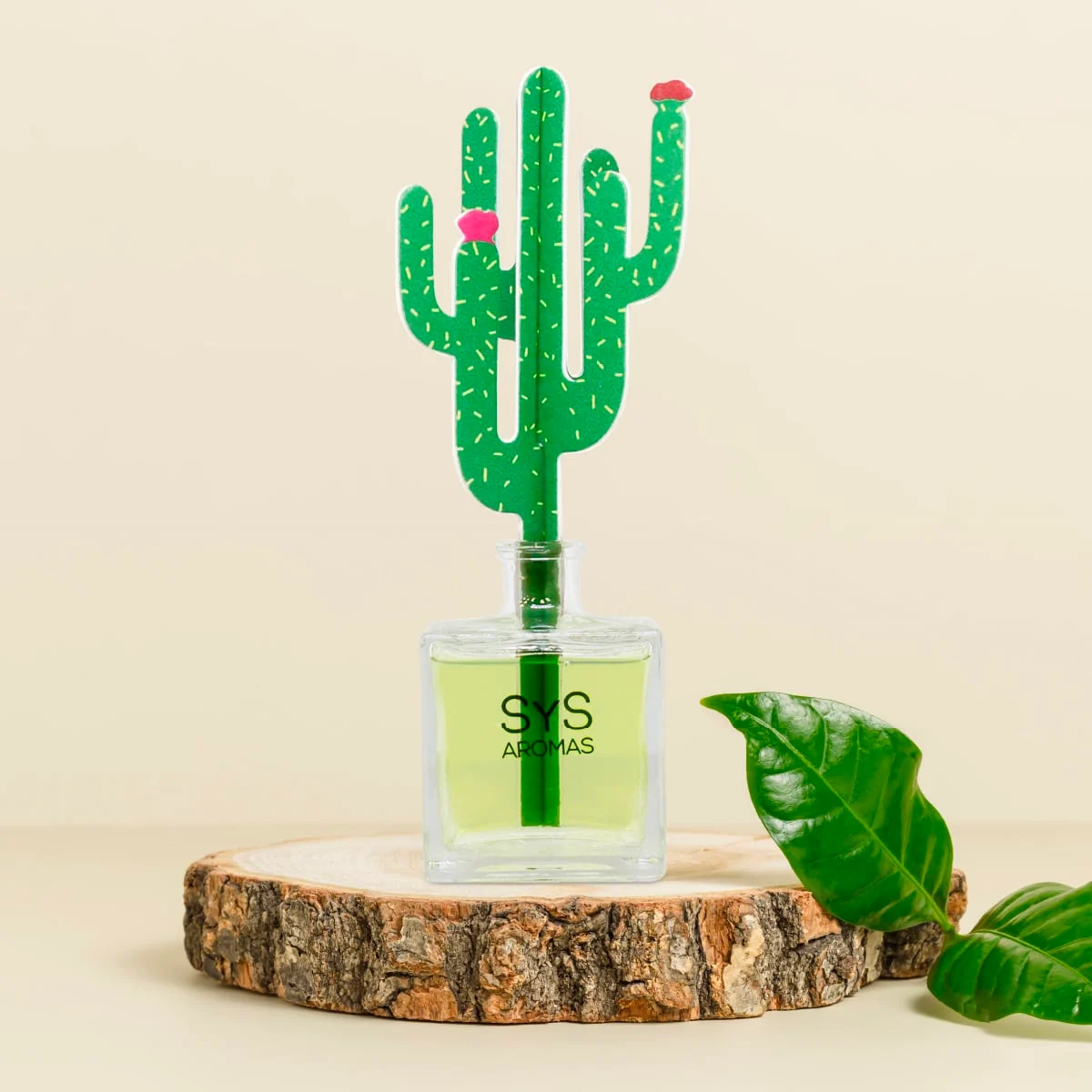 Ambientador Difusor Cactus Aloe Vera-Bambú Deco Diffuser SYS Aromas 90 ml | Aroma Fresco y Herbal | Relajante_1