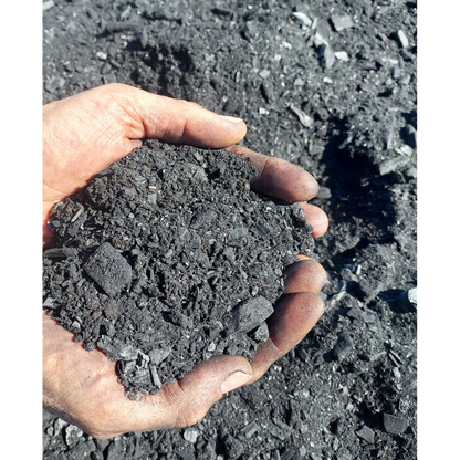 Arbochar -Enmienda con biochar para árboles- LivingChar 1000L_1