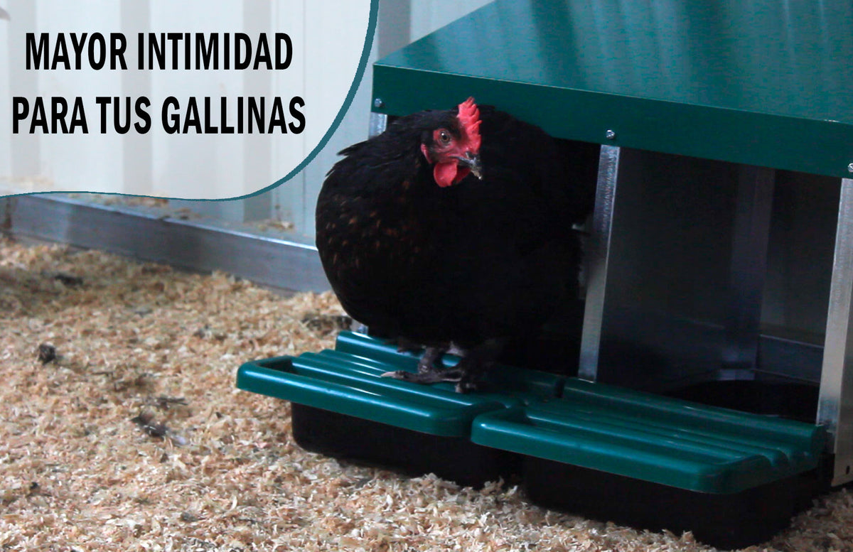 Ponedero Huevos Eco 1 Hueco Con Escamoteador | Nido Para 4-5 Gallinas_3