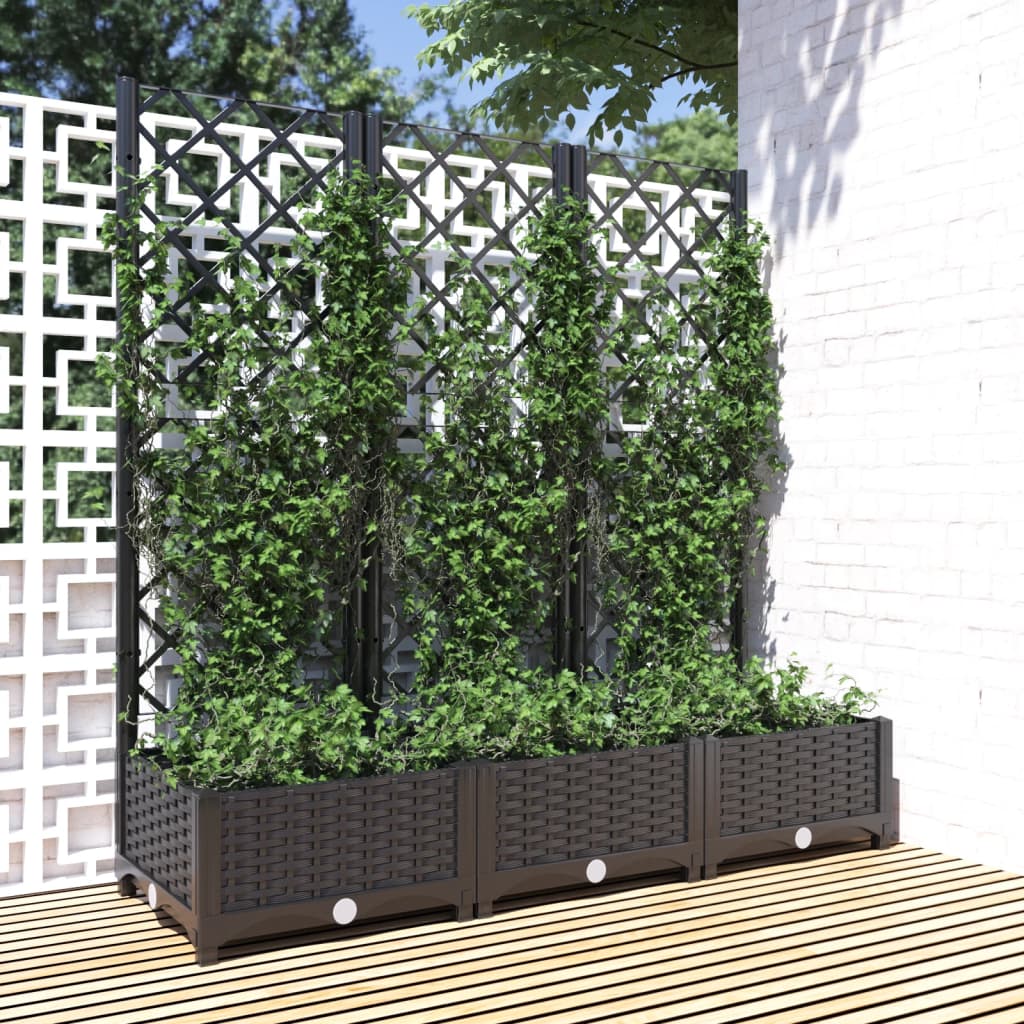 Jardinera De Jardín Con Enrejado, Color Negro, 120 X 40 X 121,5 Cm, Pp_1