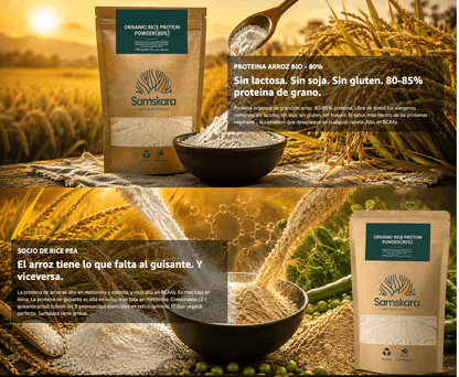 Proteína de arroz fermentado ecológica - 1 kg | Proteína vegana de origen vegetal para batidos y repostería, Samskara_3