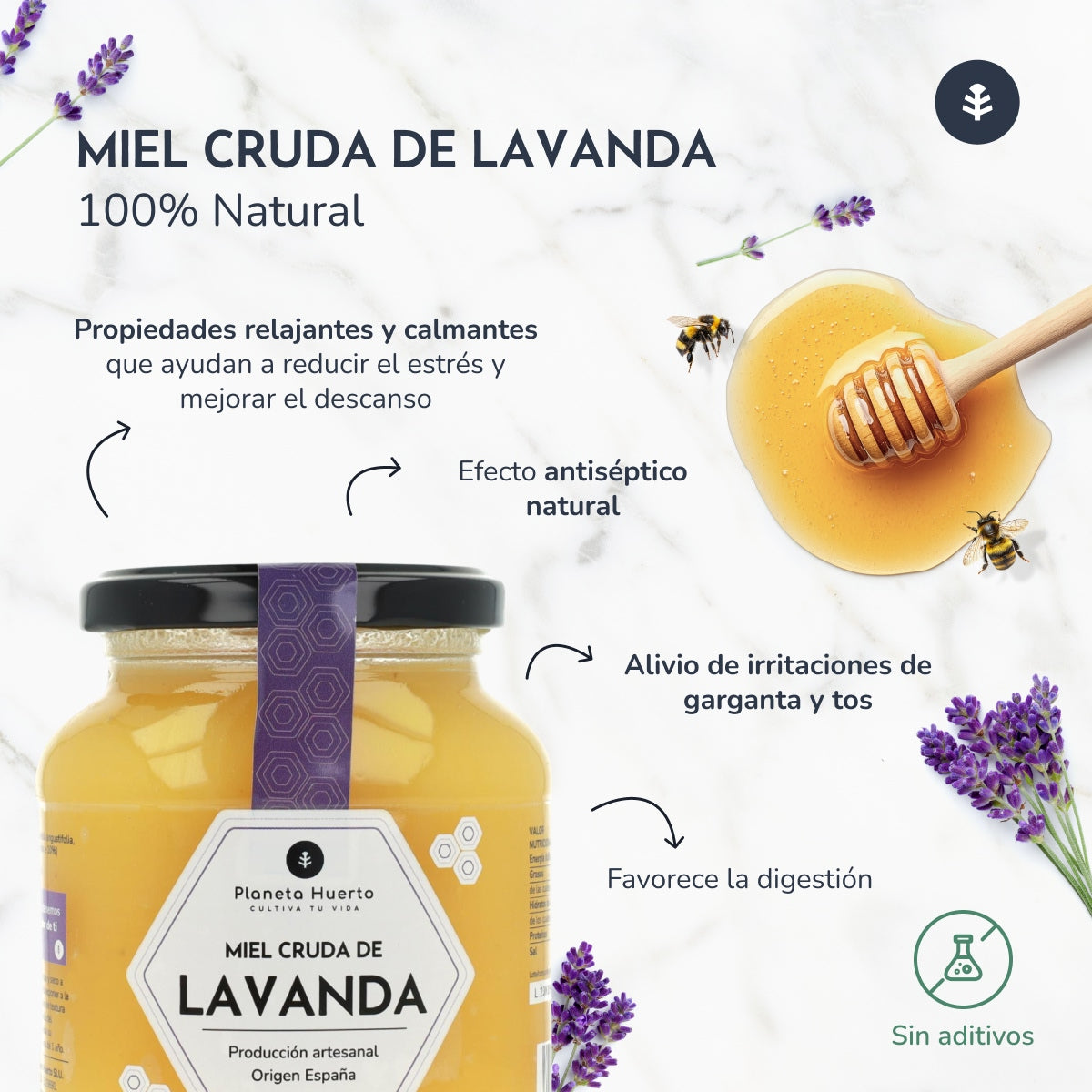 Pack 6x Miel Cruda de Lavanda Planeta Huerto 500 g