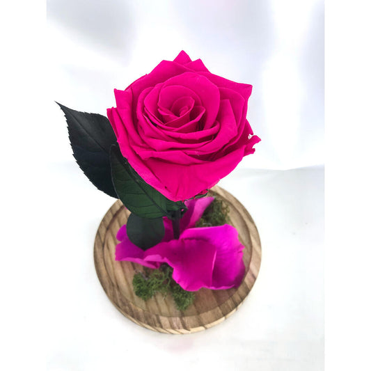 Mundo Eterno Rosa En Cúpula Fucsia 12x20cm_0