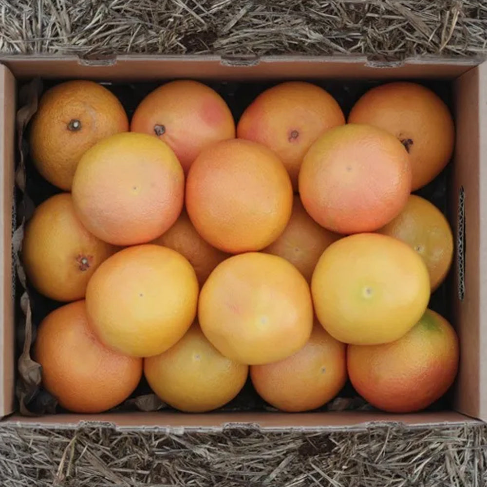 Caja de 4kg Pomelos Directos Del Campo Tropitop_2