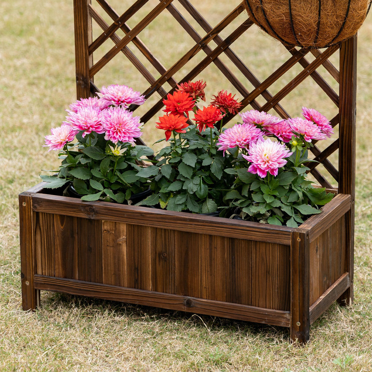 Outsunny Jardinera Con Enrejado Para Trepadora Cultivos Plantas 60x30x122,5 Cm_4
