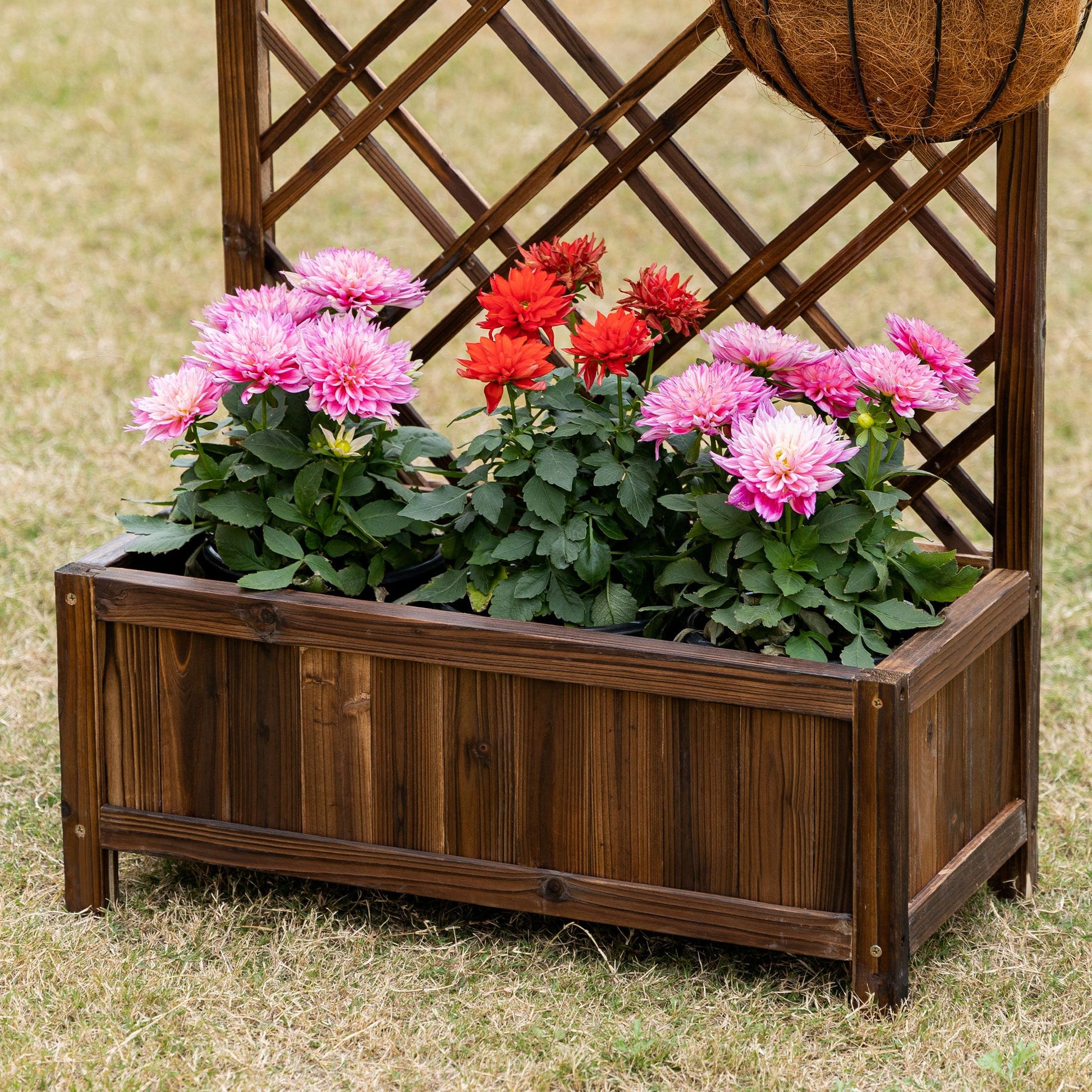 Outsunny Jardinera Con Enrejado Para Trepadora Cultivos Plantas 60x30x122,5 Cm_4