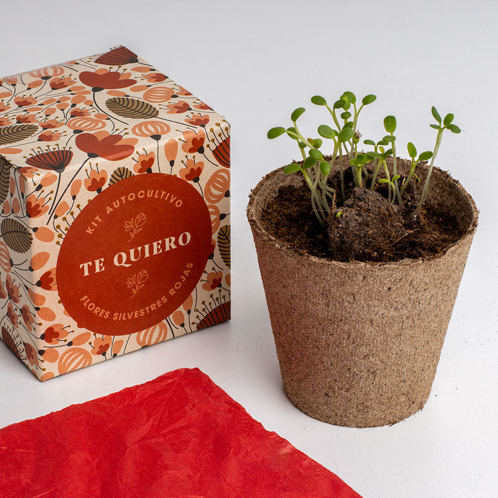 Díselo con Flores "Te Quiero" Kit Cultivo Flores Silvestres Rojas | Regalo Original - Resetea_3