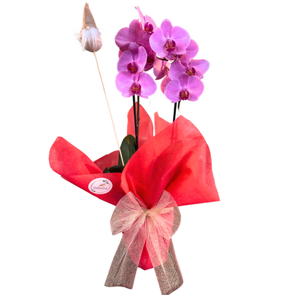 Orquídeas Decoradas: El Toque Perfecto Para Estas Fiestas_0
