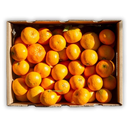 Caja de 4kg de Mandarinas Del Campo Tropitop_0