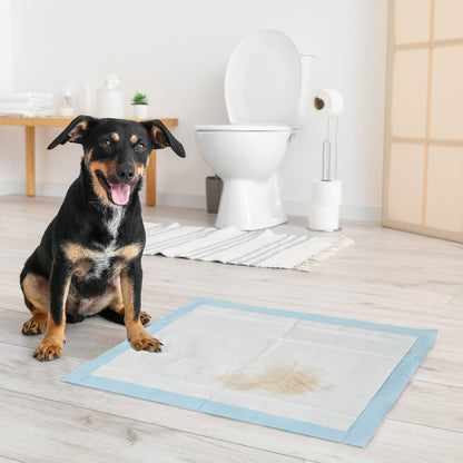 Pawhut Empapadores Para Perros 80 Unidad 60x60 Cm Diseño De 6 Capas Azul_1