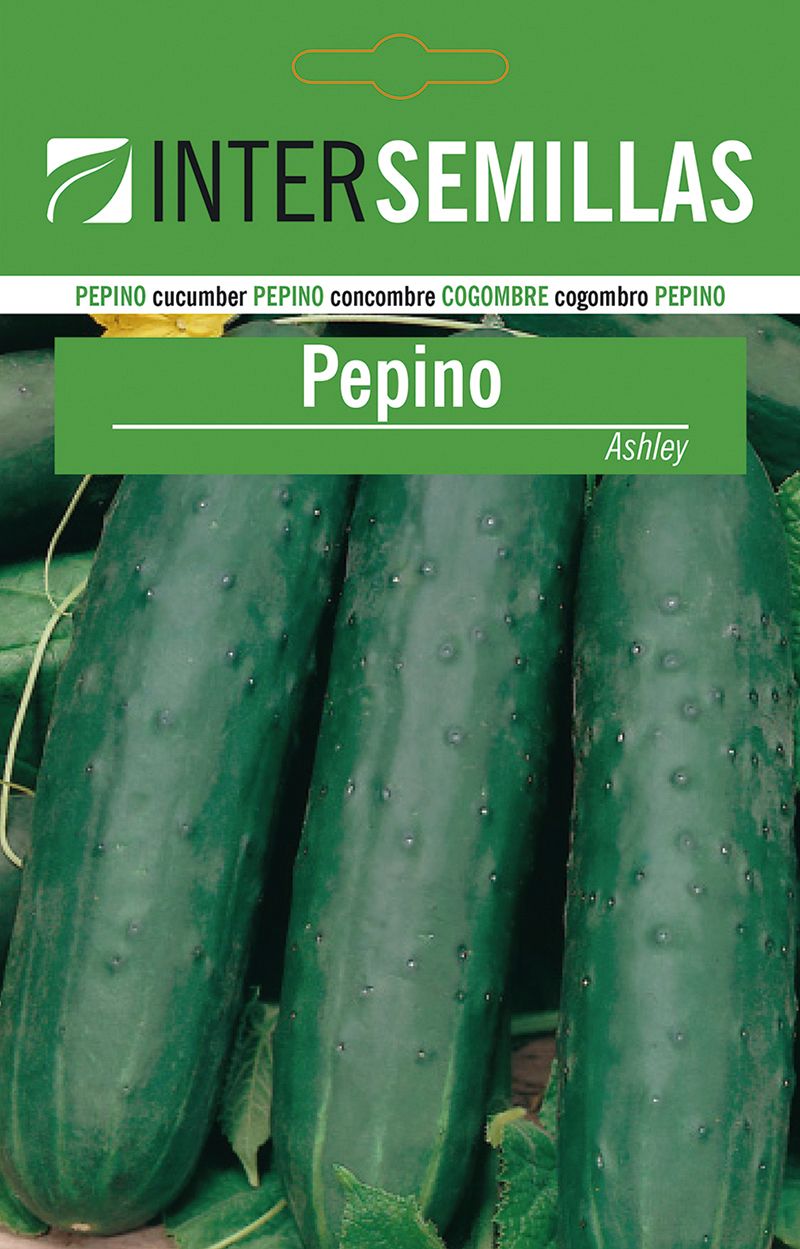 Sobre De Semillas Pepino Ashley_0