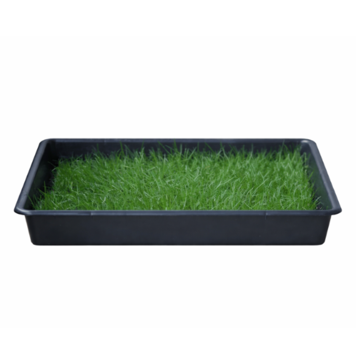Petground, Parque Para Conejos, Casa De Césped Natural Xxl: 80 X 80 Cm_1
