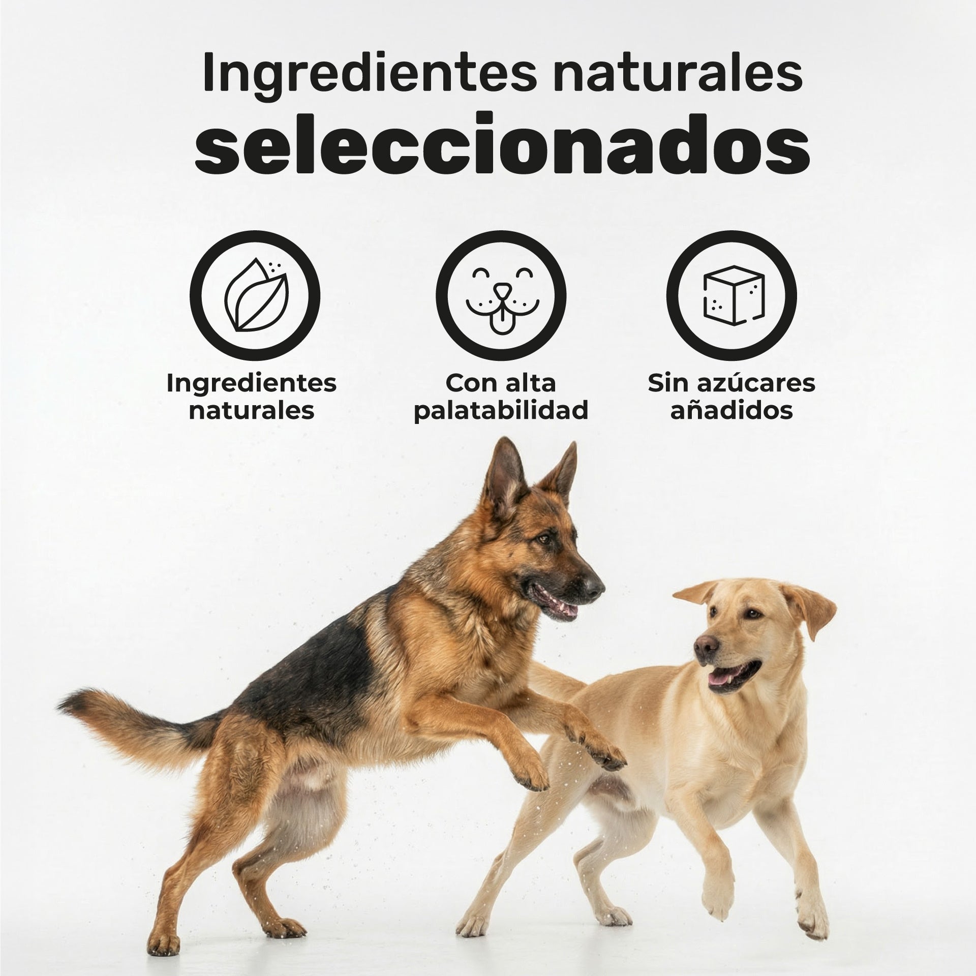 Pack Probiótico + Aceite De Salmón Para Perros. Suplementos Mascotas. 240 Masticables. Natuva Pets_5