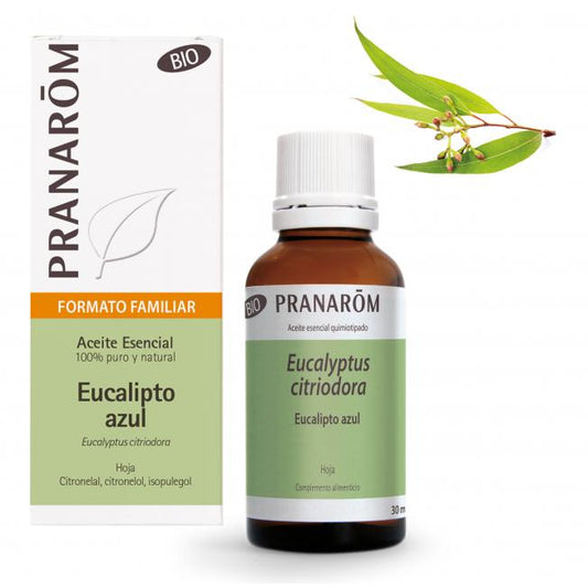 Aceite esencial Eucalipto Azul Hoja Bio Pranarom 30 ml