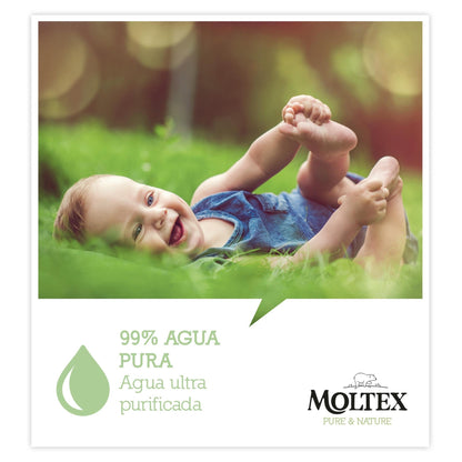 Toallitas Moltex Pure &amp; Nature 60 Uds