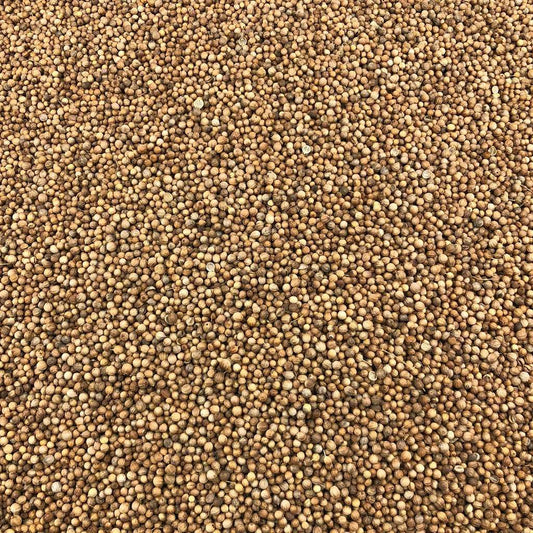 Semillas De Cilantro Bio Granel 10 Kg_0