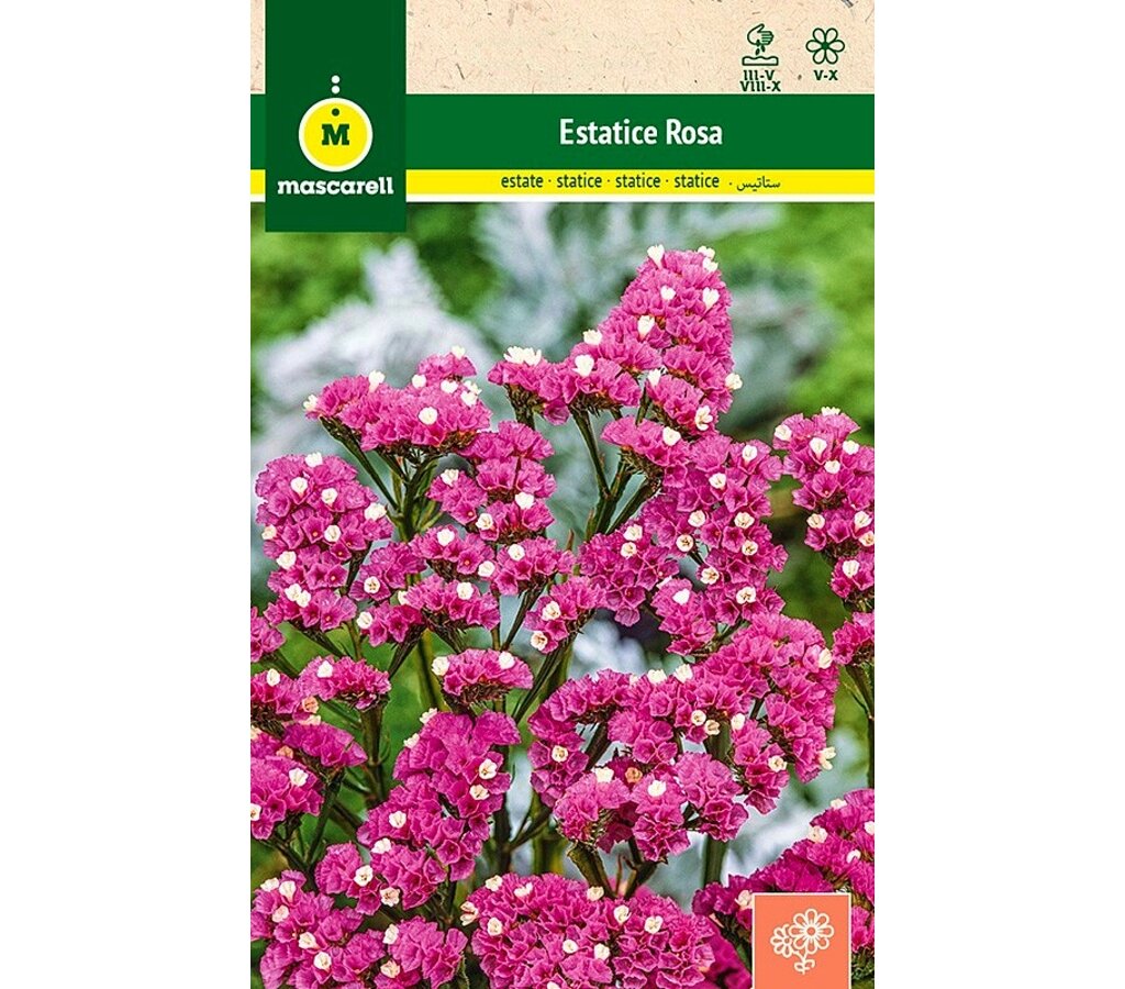 Semillas Estatice Sinuata Rosa_0